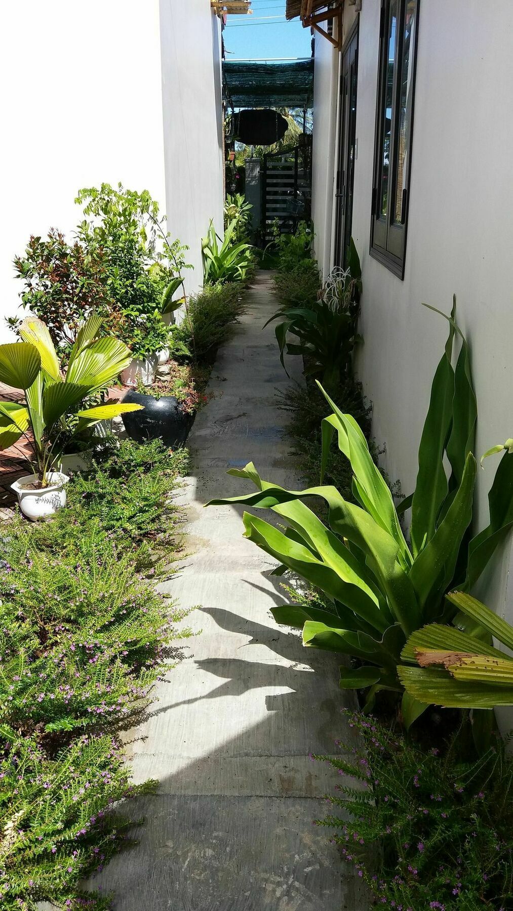 Lido Villa Hoi An Exterior photo
